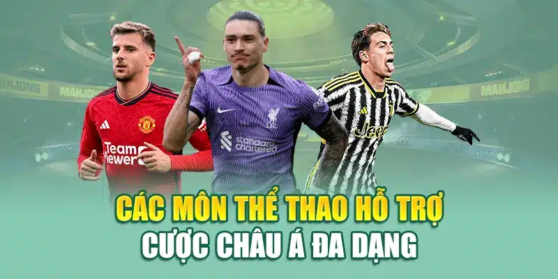 Các môn thể thao hỗ trợ cược châu Á đa dạng