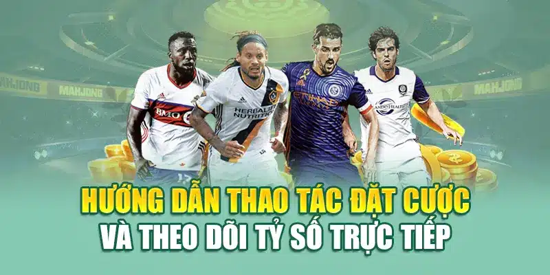 Hướng dẫn thao tác đặt cược và theo dõi tỷ số trực tiếp 