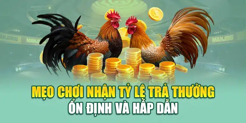 Mẹo chơi nhận tỷ lệ trả thưởng ổn định và hấp dẫn