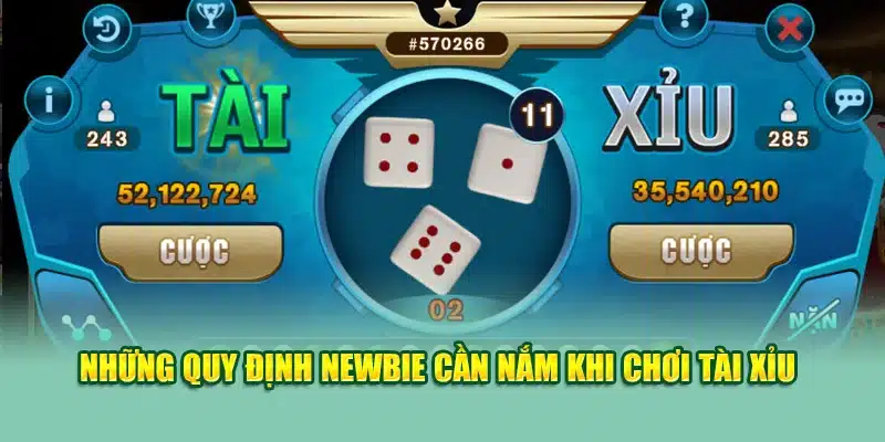 Những quy định newbie cần nắm khi chơi tài xỉu