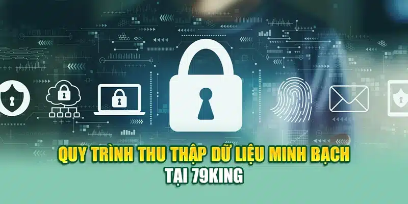 Quy trình thu thập dữ liệu minh bạch tại 79KING