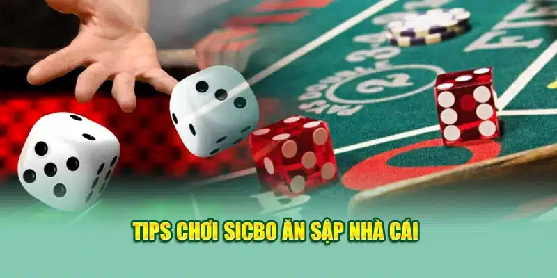 Tips chơi sicbo ăn sập nhà cái